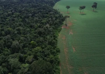 dji_0739-1024x613