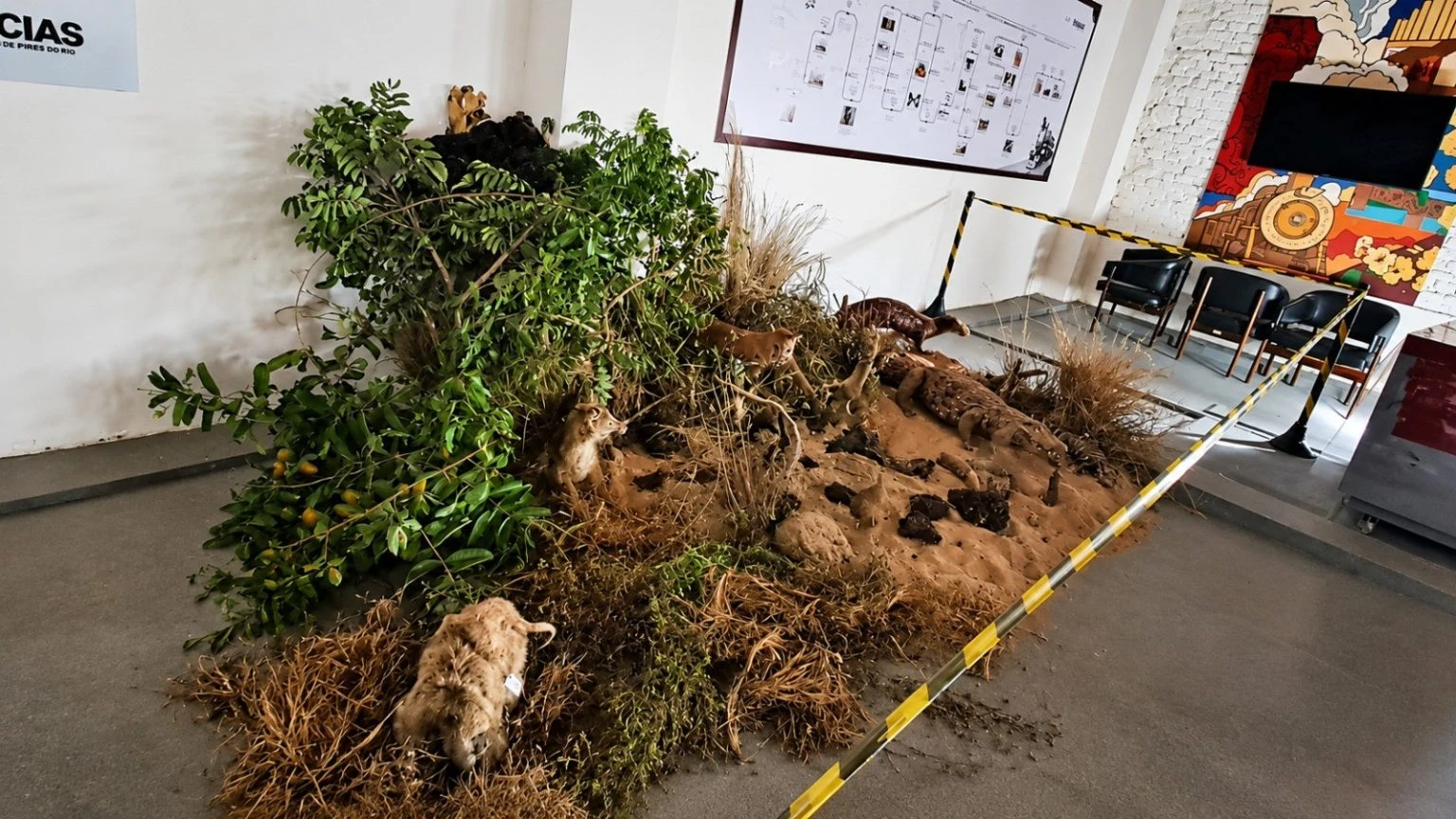 SECULT_MUSEU_FERROVIARIO_DIA_MUNDIAL_DO_MEIO_AMBIENTE-1536x864
