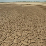 el nino greenpeace