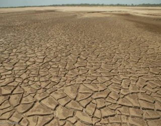 el nino greenpeace