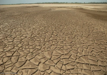 el nino greenpeace