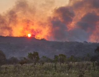 1787238255-fogo1chapada