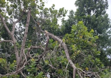 Alerta ventania_Equatorial Goiás (2)