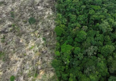 amazonia desmatamento