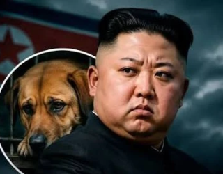china e cachorro