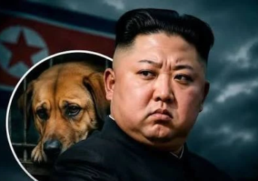 china e cachorro