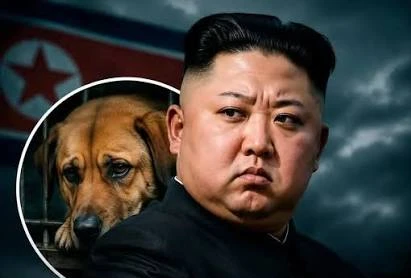 china e cachorro