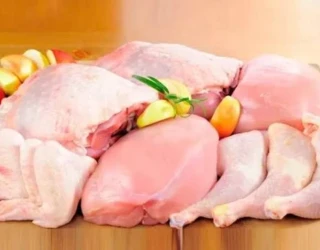 frango__