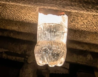 lampada pet