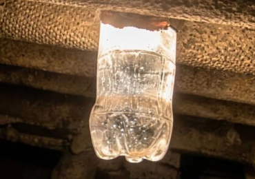 lampada pet