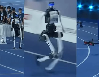robo chines