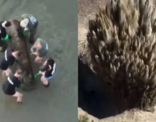 video bomba