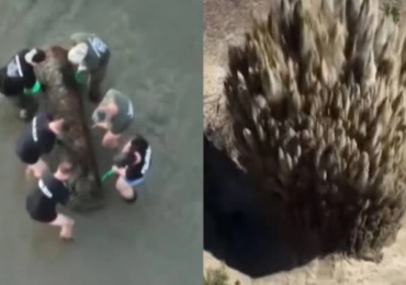 video bomba