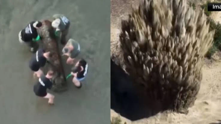 video bomba