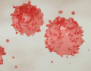 cancer pesquisa