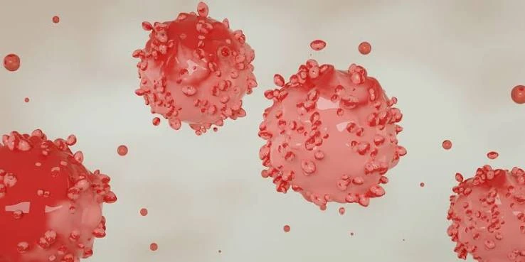 cancer pesquisa