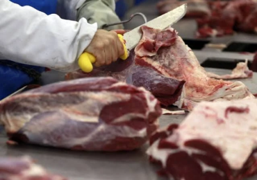 carne