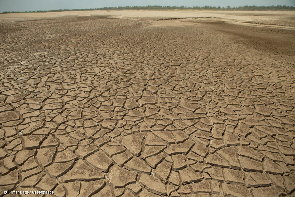 el nino greenpeace