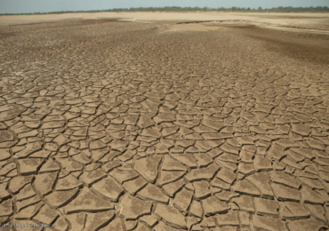 el nino greenpeace