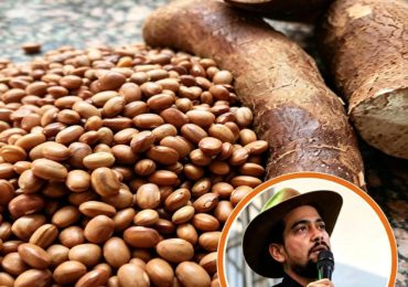 engenheiro