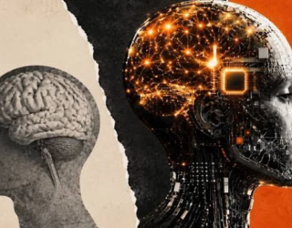 ia e cerebro