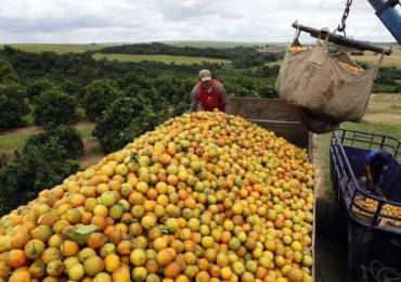 laranjas