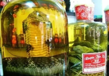 vinho de cobra
