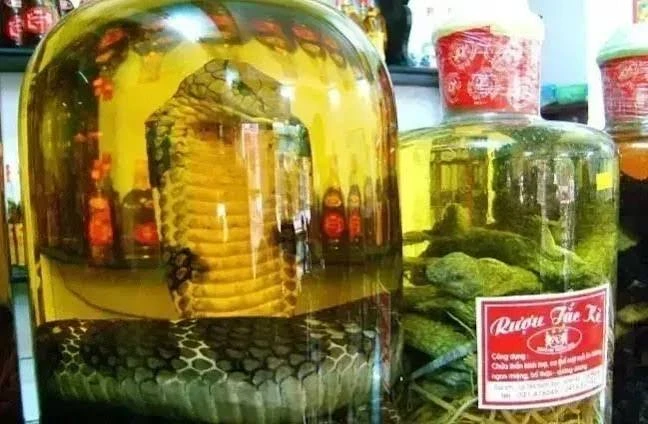 vinho de cobra