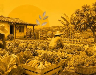 agricultura familiar