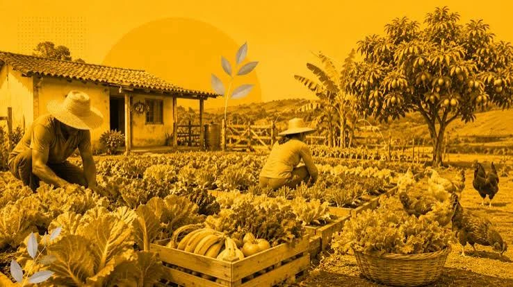agricultura familiar