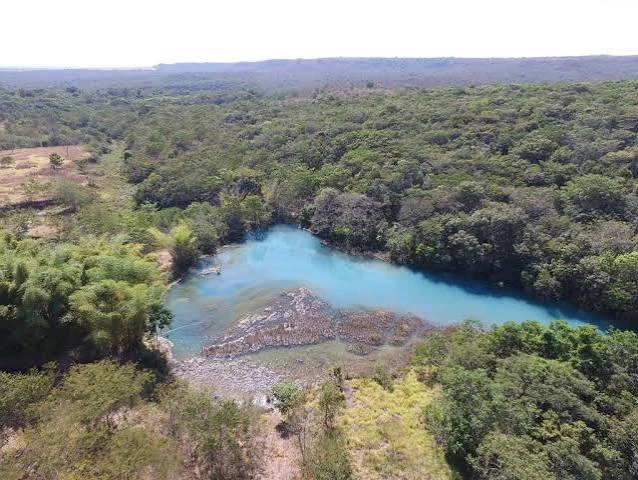 livro araguaia
