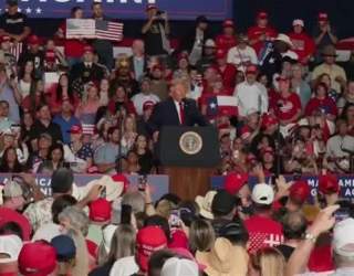 trump politica